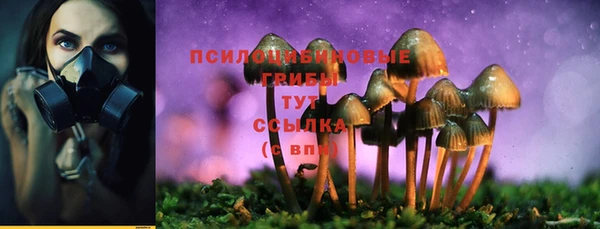 прущий лед Переславль-Залесский
