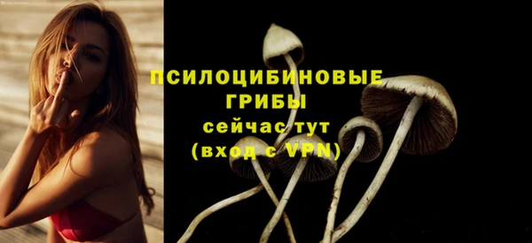 spice Пестово