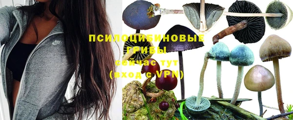 мдма Покров
