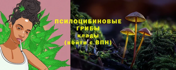 стафф Пересвет