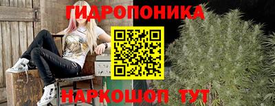 марки lsd Заводоуковск