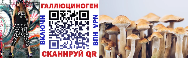 где найти наркотики  Череповец  мориарти формула  Галлюциногенные грибы мухоморы 