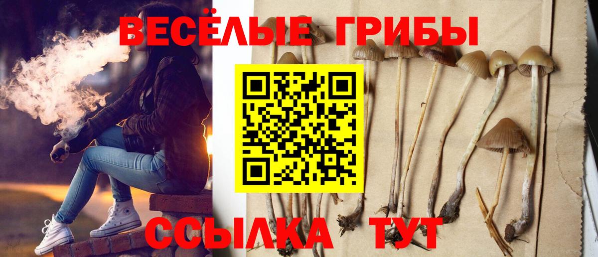 Череповец  Галлюциногенные грибы прущие грибы  что такое наркотик  Вход с VPN 